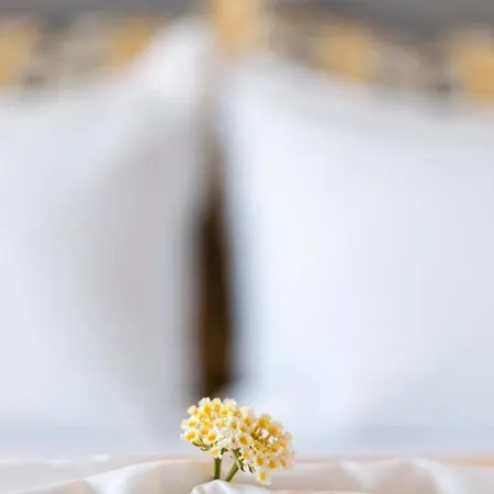 Sk Suites Thassos * Скала-Потамиас
