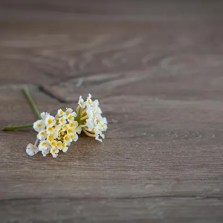 Sk Thassos شقة سكالا بوتامياس