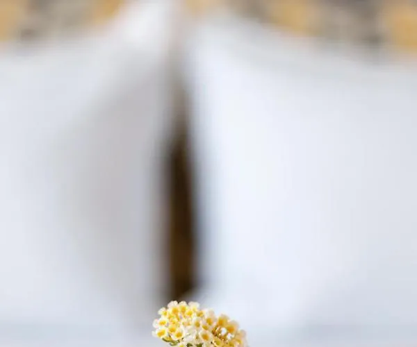 Sk Suites Thassos * Skala Potamia (Thasos)